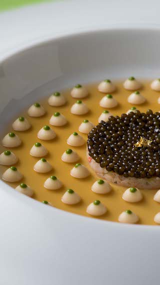 FOUR SEEDS CORPORATION | 株式会社フォーシーズ